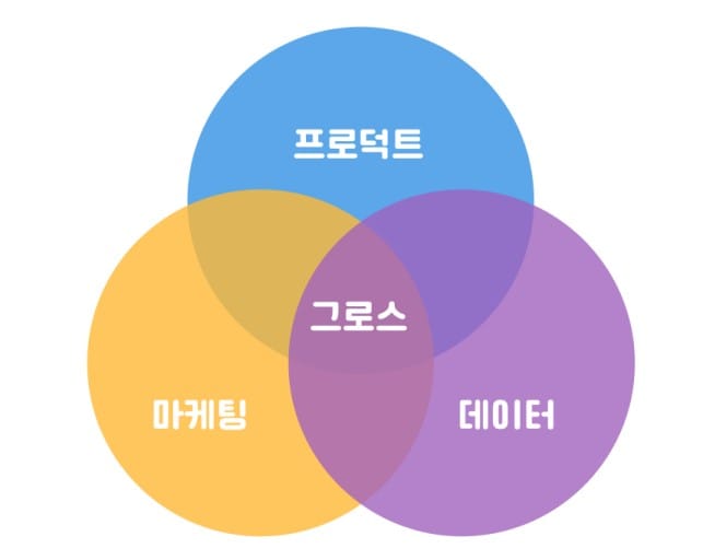 그로스 마케팅에 대해 설명하는 벤다이어그램으로, 마케팅과 데이터,프로덕트의 중심이 되는 성장 마케팅을 일컫는다고 설명하고 있다.